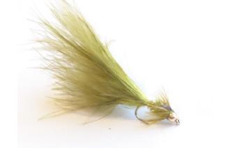 Long Tailed Damsel Goldhead Image