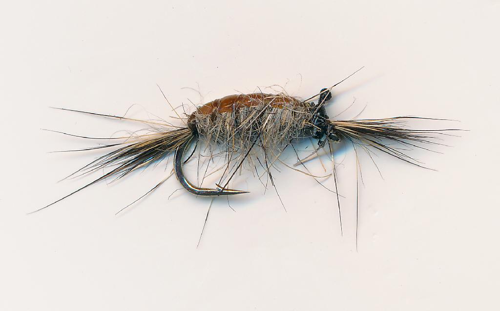4 NEW CDC FOAM GRAFHAM Killer Shrimps sz12 Flies by Iain Barr WCC Fly Fishing